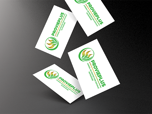 Logo Provieplus représentant des flammes dans un rond vert sur des cartes de visites